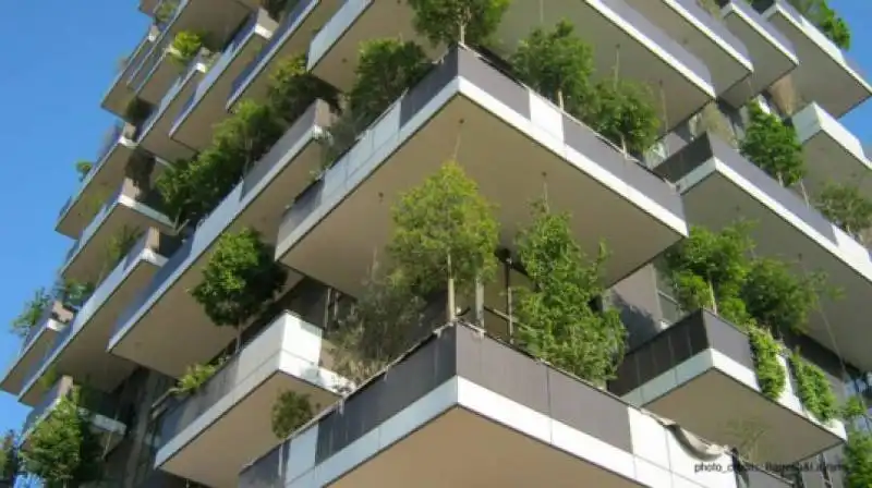 bosco verticale di la varra barreca boeri 5