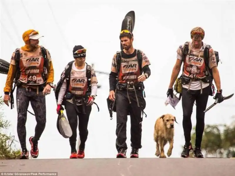 il cane si aggiunge alla team peak