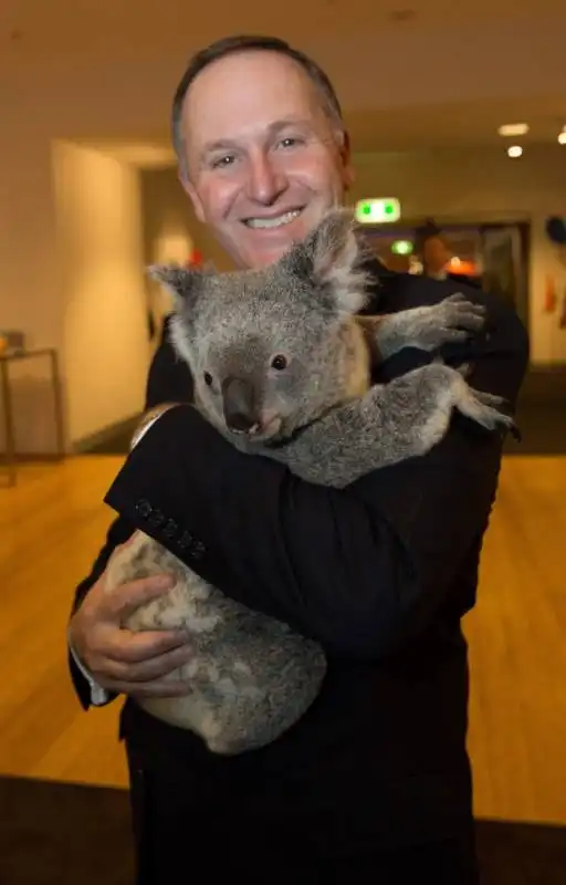 john key nuova zelanda koala