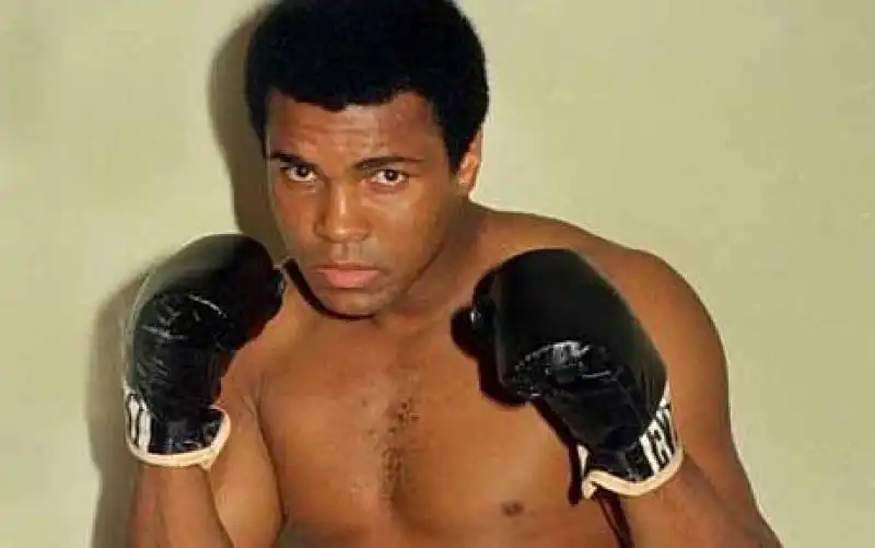 muhammad ali 8