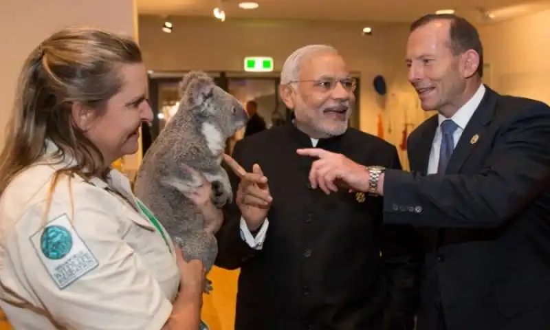 narendra modi koala