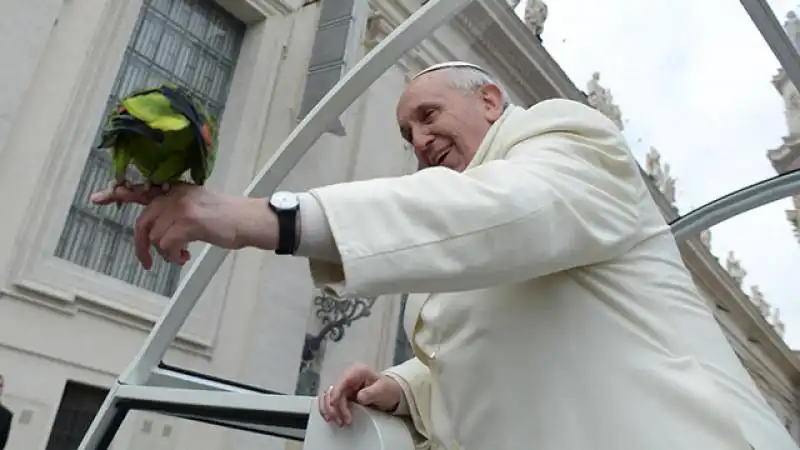 papa francesco ghyblj lombardi e il pappagallo amore 1