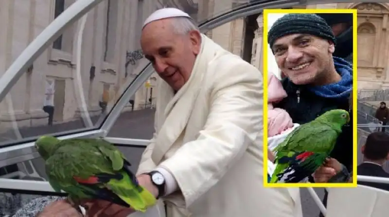 papa francesco ghyblj lombardi e il pappagallo amore 3