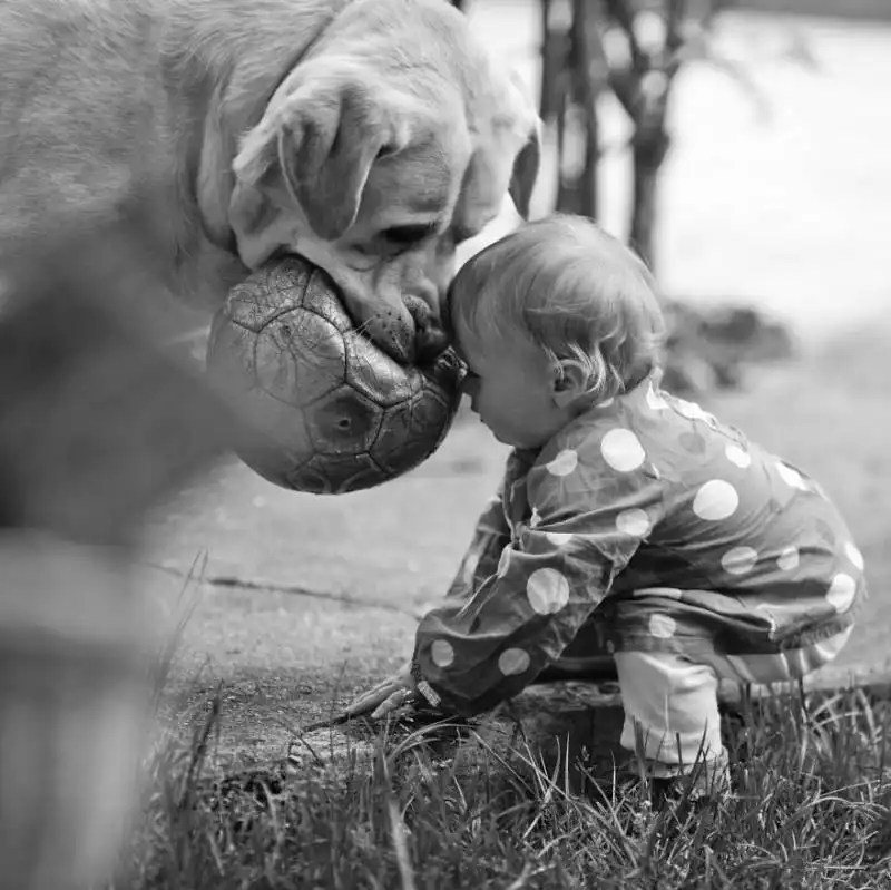 piccoli bambini e grandi cani 21