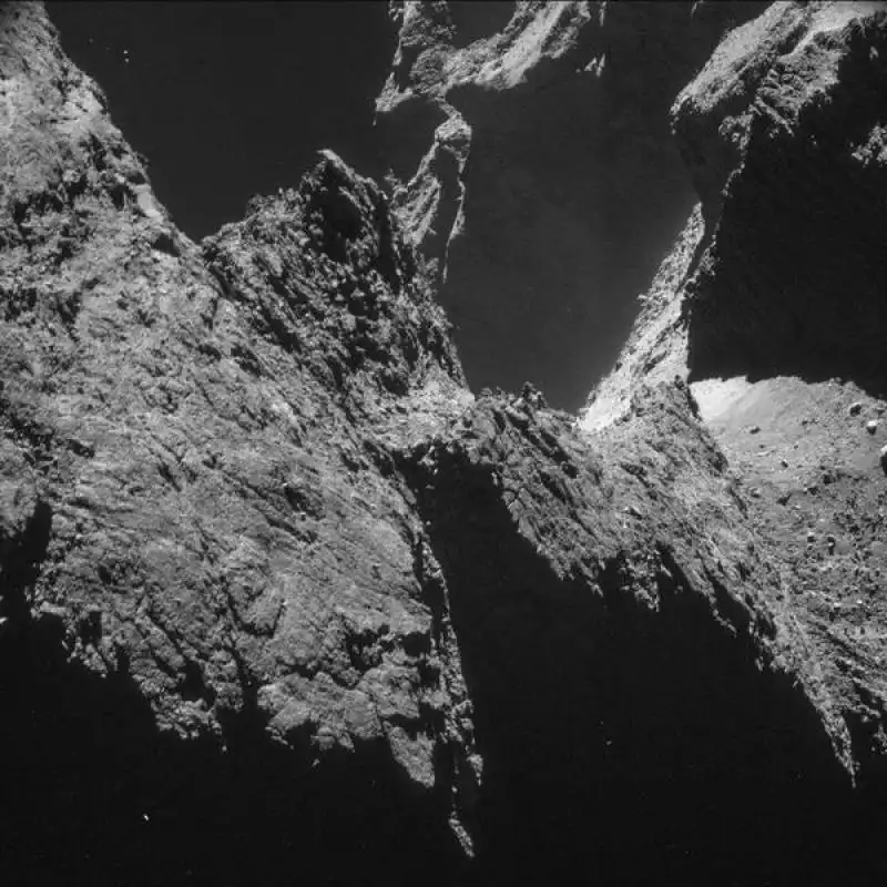 rosetta 8