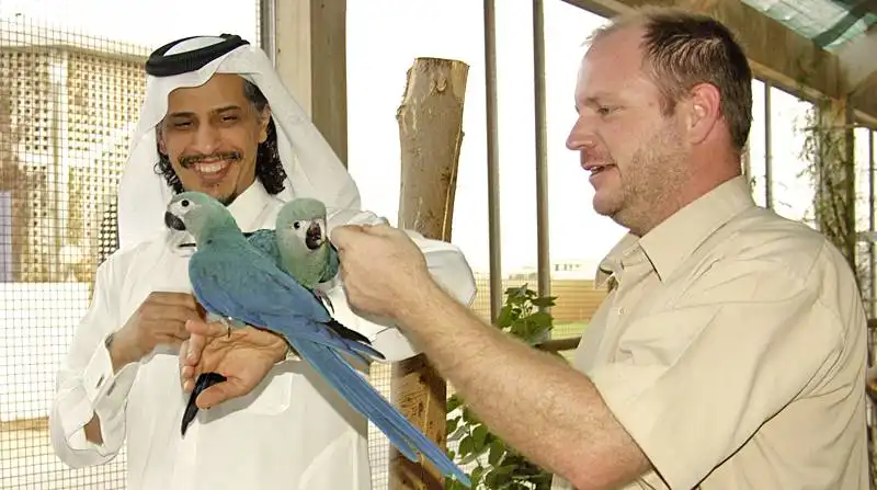 Sheikh Saud Al Thani