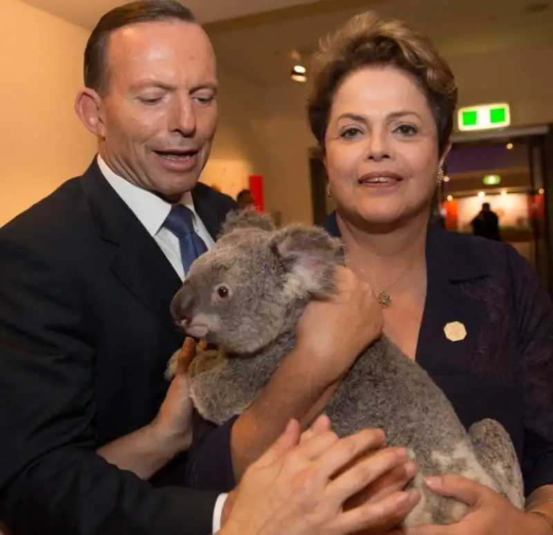 tony abbott dilma rousseff koala