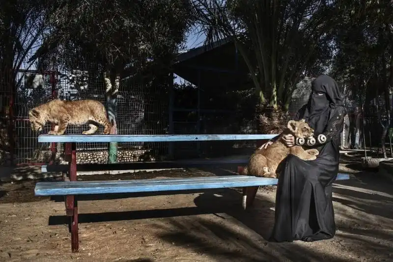 visita allo zoo di rafah