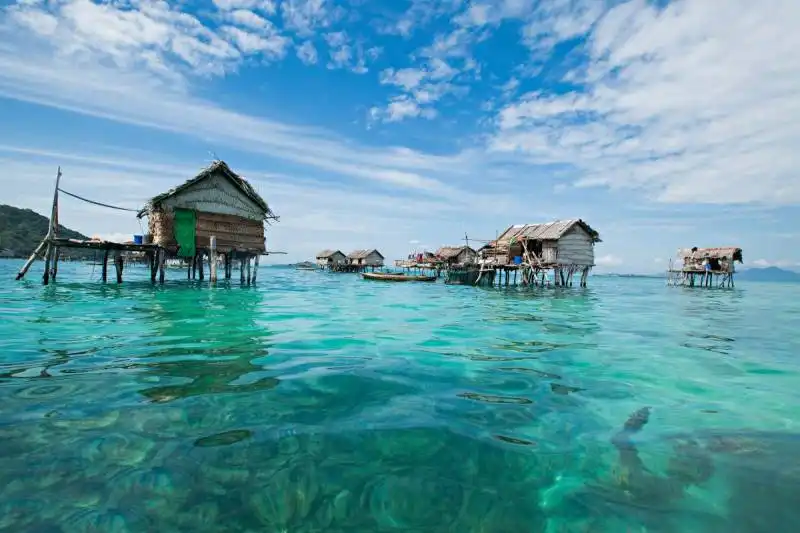 bajau