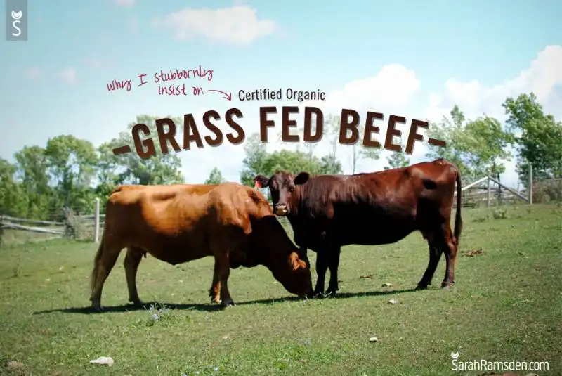 GRASS FED 4