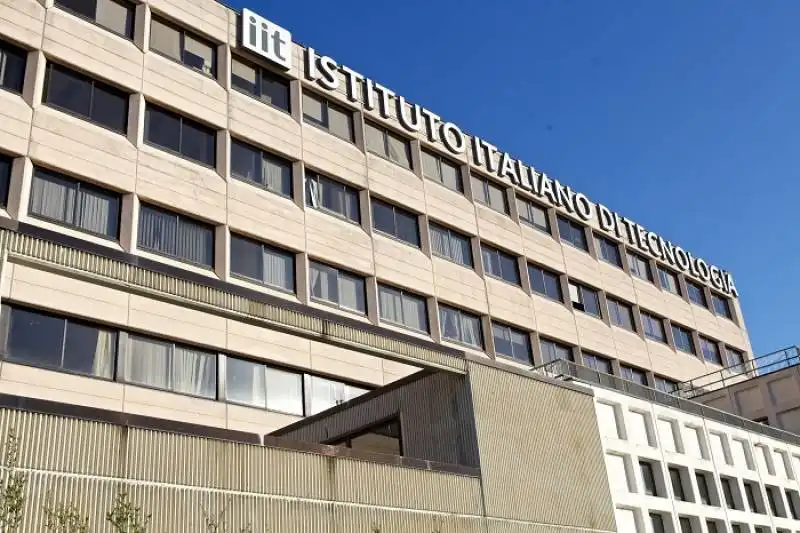 ISTITUTO  ITALIANO DI TECNOLOGIA IIT