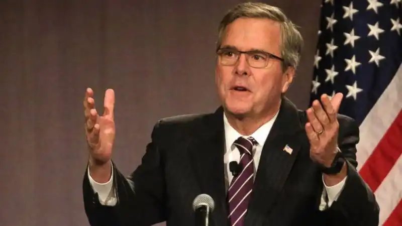 jeb bush