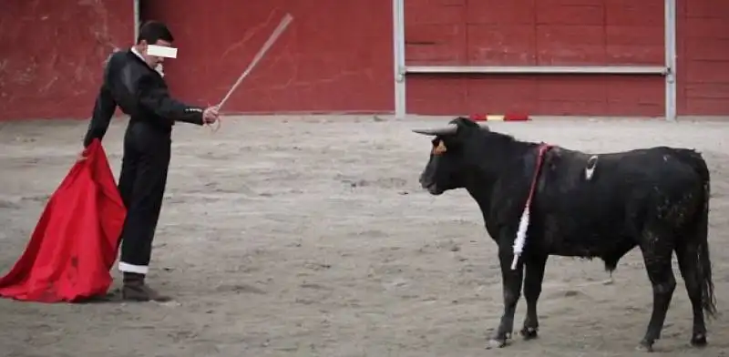 matador e toro