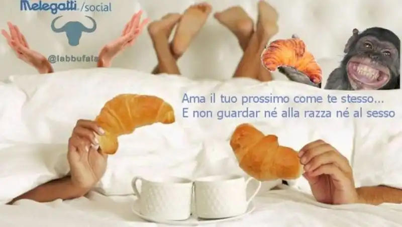 melegatti e le brioche   