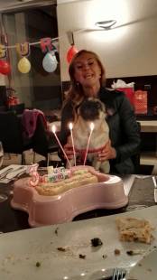 michaela biancofiore e la festa per il suo cane