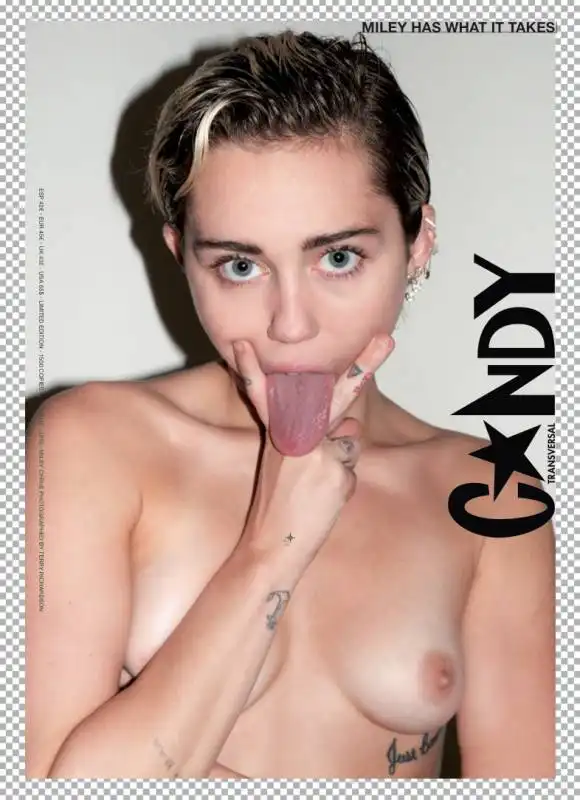 miley cyrus by terry richardson  25