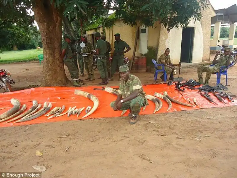 militari congolesi con zanne di elefante