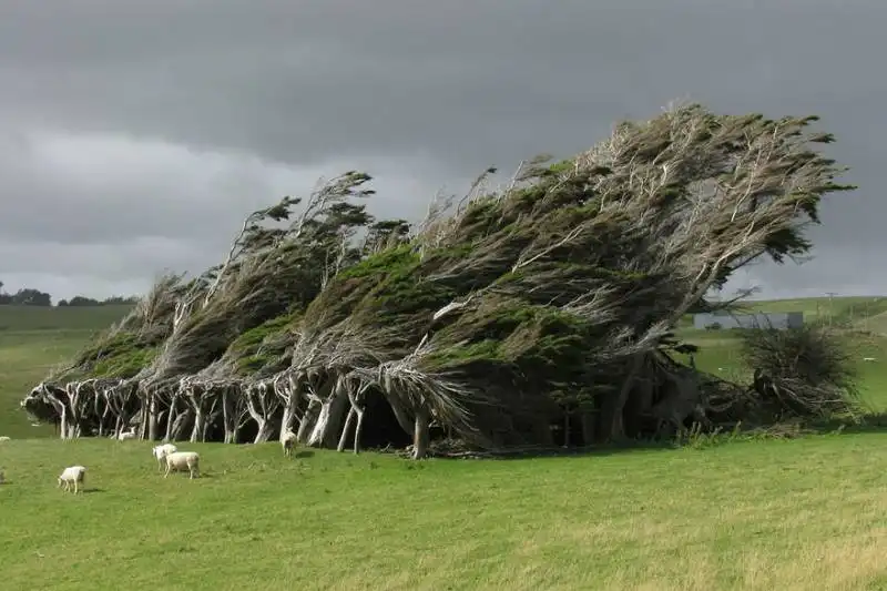 nuova zelanda slope point