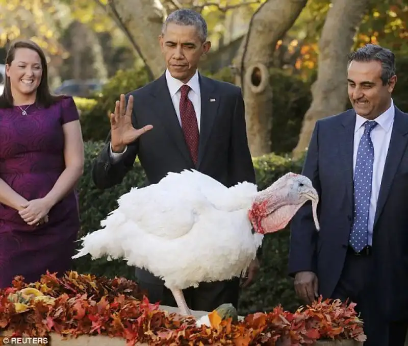 obama grazia un altro tacchino