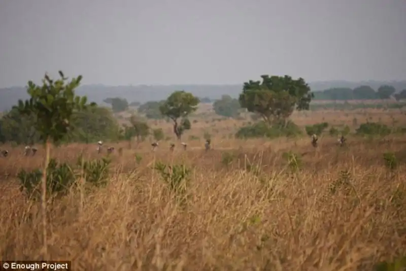 sospetti miliziani di joseph kony nel parco garamba