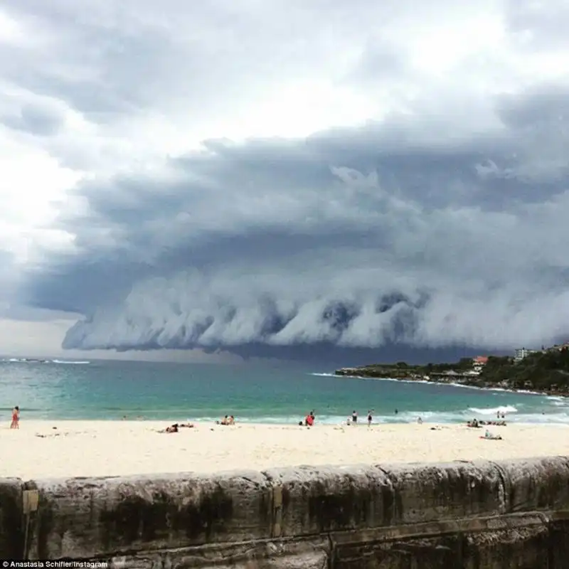 tempesta sydney 15