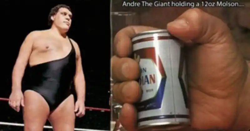 ANDRE THE GIANT