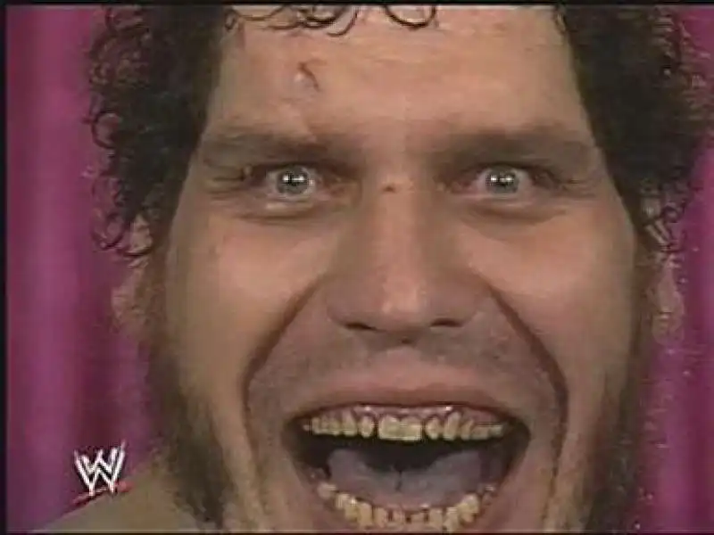 ANDRE THE GIANT