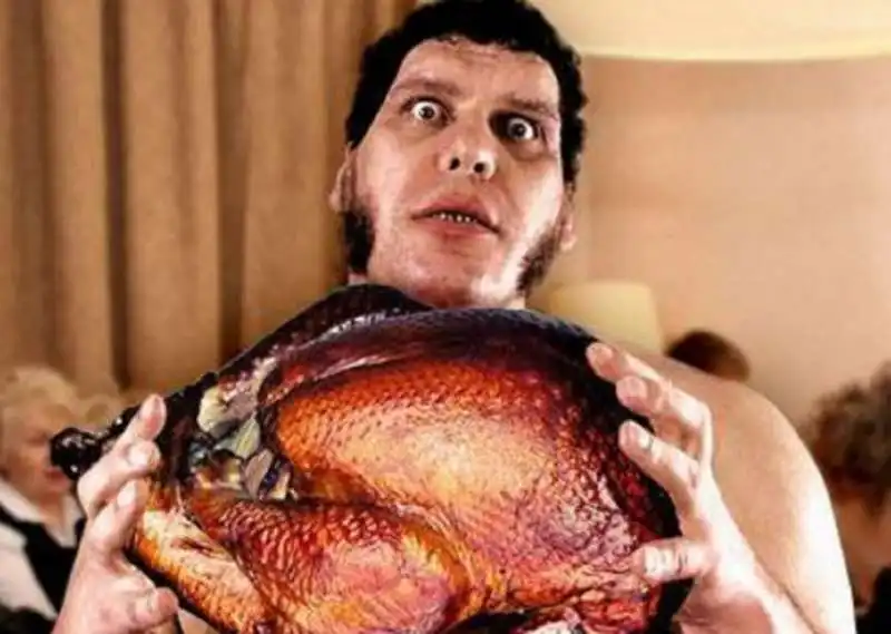 ANDRE THE GIANT E IL POLLO