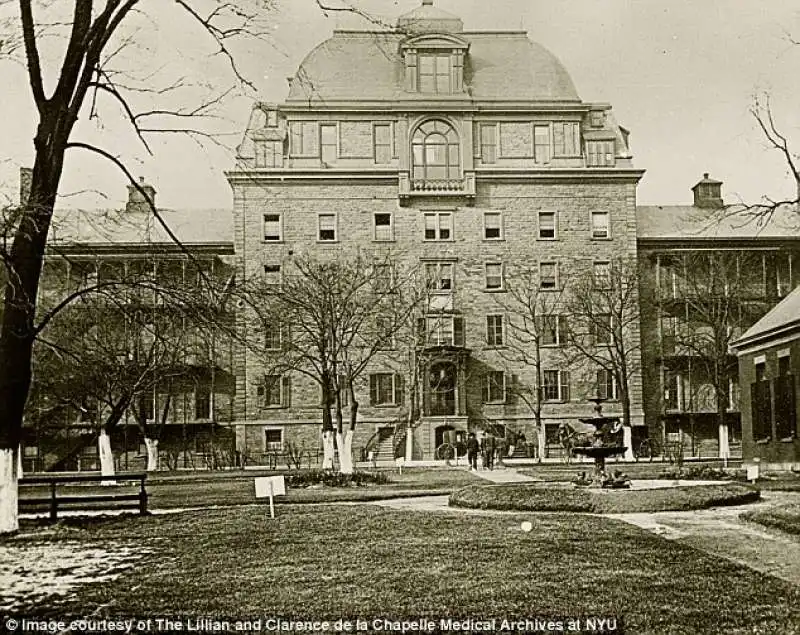 edificio del bellevue