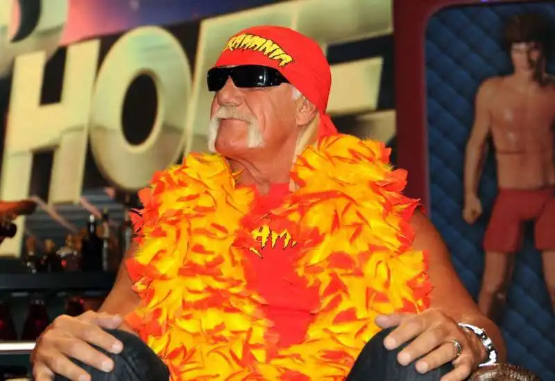 hulk hogan