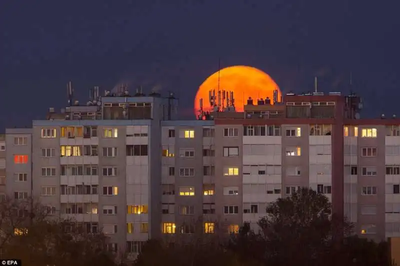 luna a budapesta