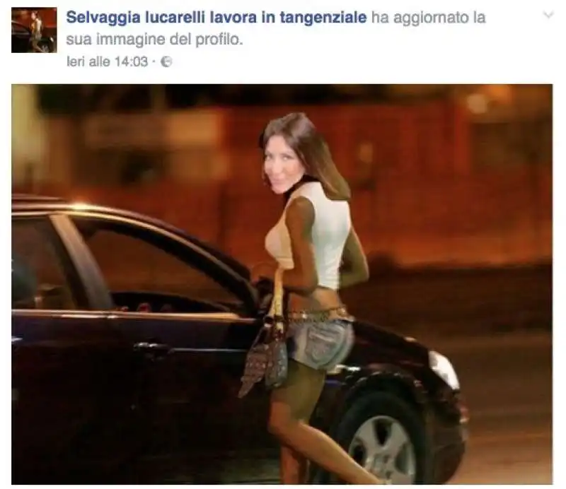 pagine su selvaggia lucarelli    