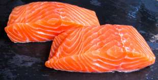 salmone