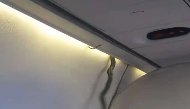 SERPENTE IN AEREO