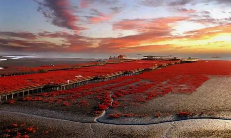 SPIAGGIA ROSSA CINA - 4