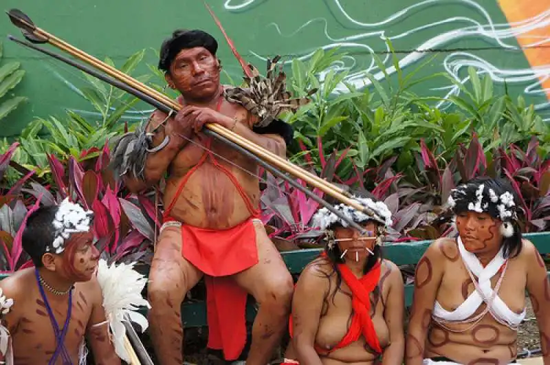 TRIBU YANOMAMI