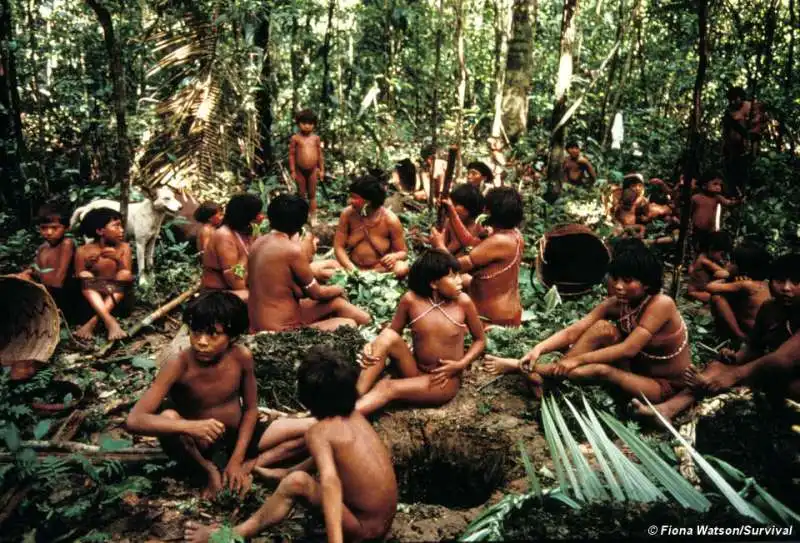 TRIBU YANOMAMI 