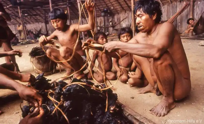 TRIBU YANOMAMI