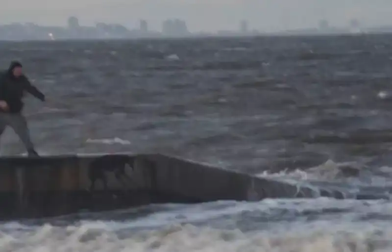 Hartlepool CANE GETTATO IN ACQUA 2