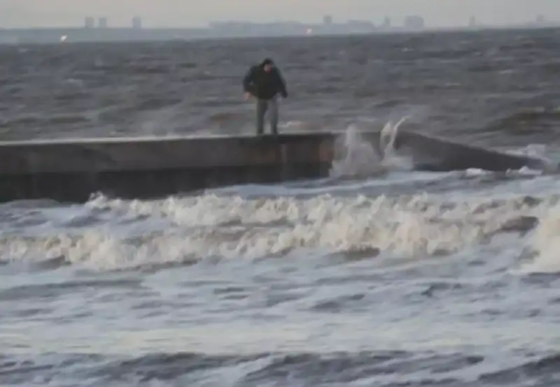 Hartlepool CANE GETTATO IN ACQUA