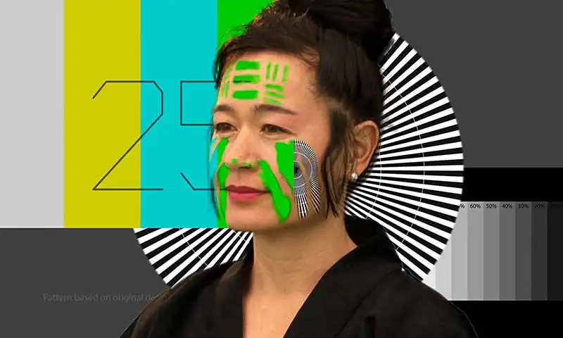 hito steyerl en