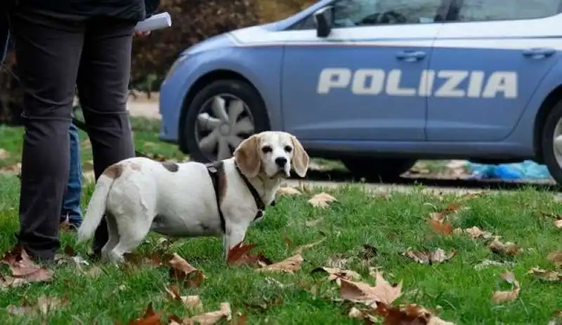 il cane della vittima 