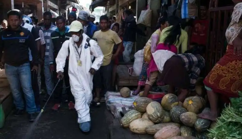 MADAGASCAR - EPIDEMIA DI PESTE