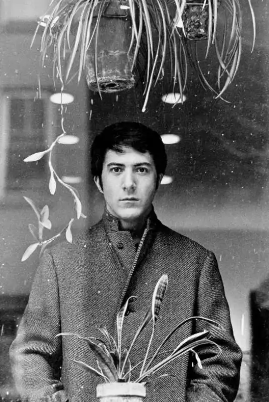  dustin hoffman