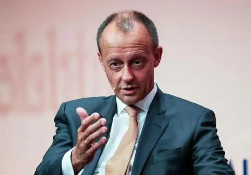 friedrich merz 1