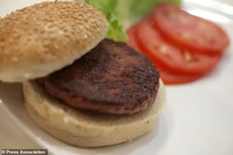 hamburger fatto in laboratorio