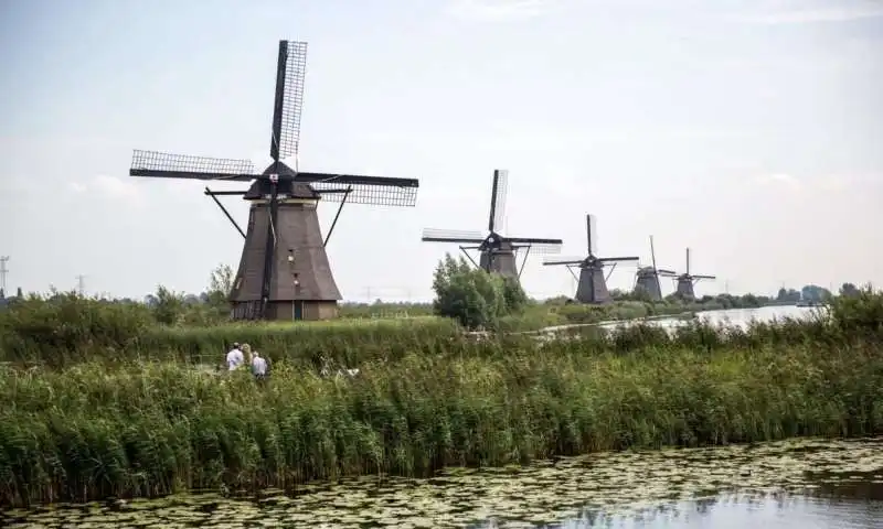 kinderdijk 4