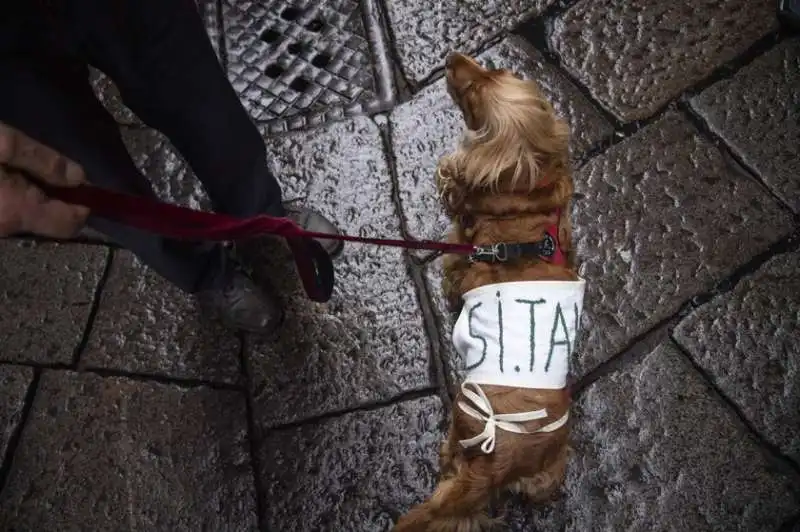 la manifestazione 'si' tav' in piazza castello a torino 4