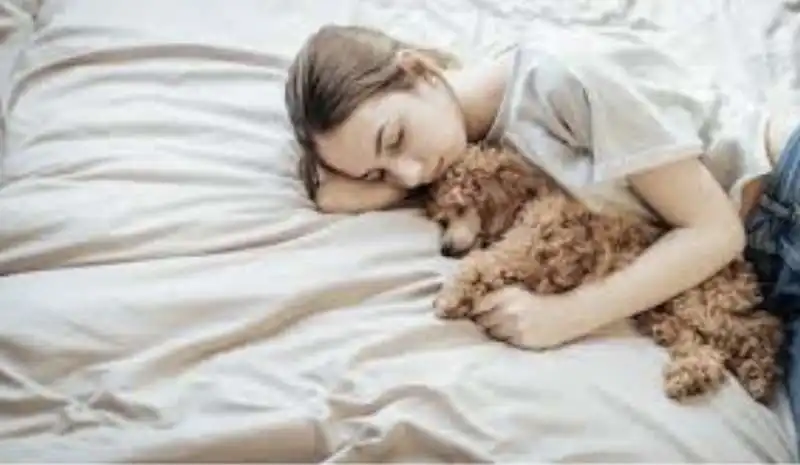 le donne preferiscono dormire con i cani 2