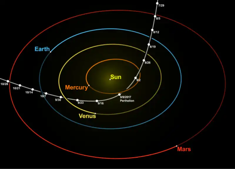 oumuamua   